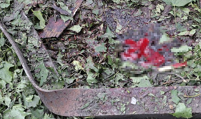 Rusya bir kez daha Harkov'u vurdu: 5 ölü