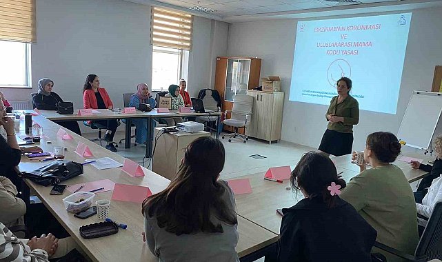 Sağlıkçılara anne sütü ve emzirme danışmanlığı eğitimi