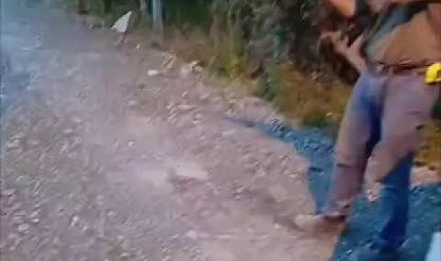 Sahipsiz köpeği tüfekle öldüren şahıs yakalandı, o anlar kamerada