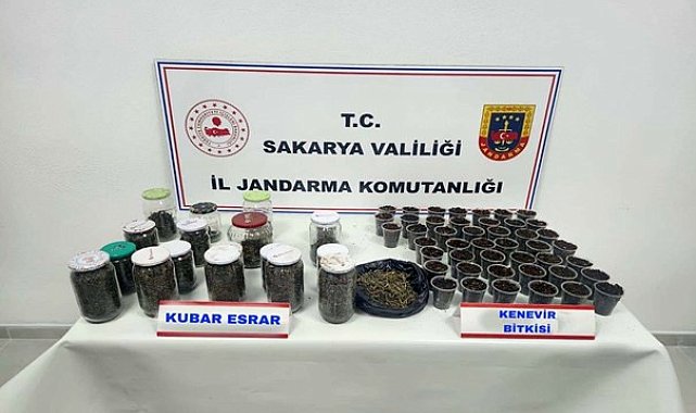 Sakarya'da uyuşturucu ve kaçakçılık operasyonları: 195 şüpheli yakalandı, 4'ü tutuklandı
