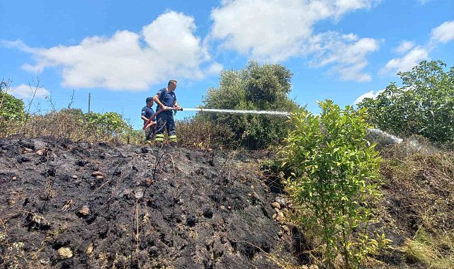 Samandağ'dan çıkan bahçe yangını söndürüldü