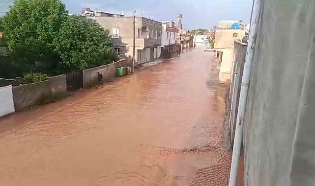 Şanlıurfa'da dolu ve yağmur kırsal mahalleleri göle çevirdi