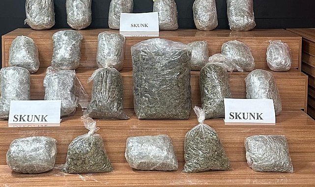 Şanlıurfa'da durdurulan araçtan 22 kilogram uyuşturucu çıktı