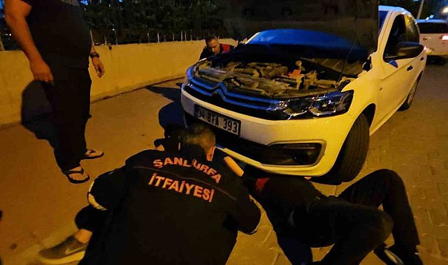 Şanlıurfa&#039;da otomobilin motor kısmına sıkışan kedi operasyonla kurtarıldı