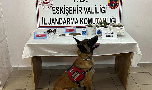 Satmak için ikametlerinde uyuşturucu yetiştiren 2 şüpheli yakalandı