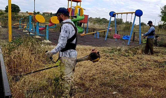 Şehzadeler Belediyesinde ilaçlandırma seferberliği