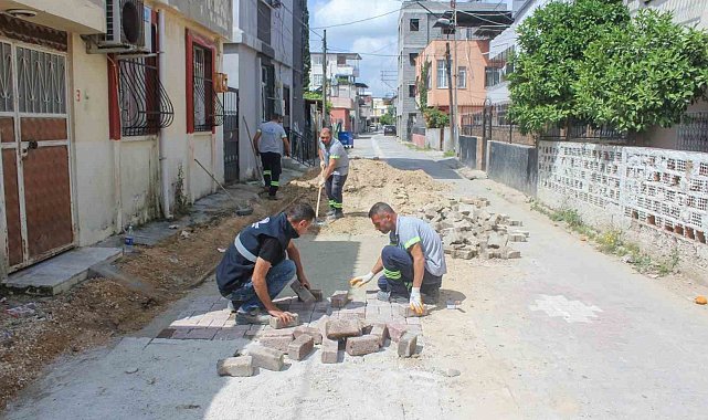 Seyhan Belediyesi sokakları sağlıklaştırıyor