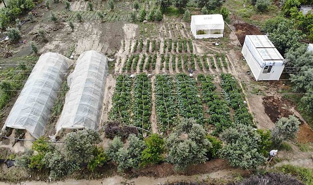 Şiddetli yağmurun etkili olduğu Hatay'da tarım arazileri sular altında kaldı