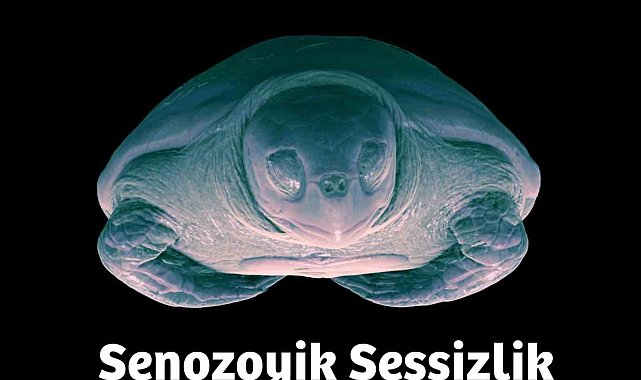 Siemens Healthineers Türkiye'den hayvan sağlığına dikkat çeken dijital sergi