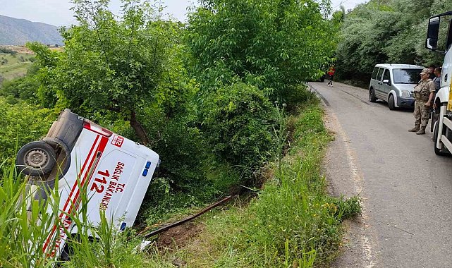 Siirt'te akrep sokması vakasına giden ambulans kaza yaptı