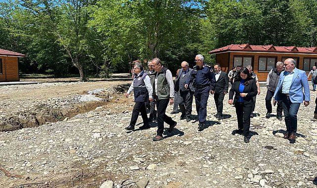 Sinop Millet Ormanı Projesi'nin yüzde 60'ı tamam