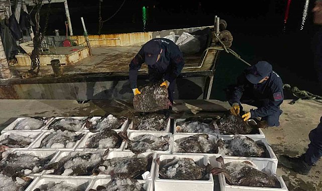 Sinop'ta 2 milyon lira değerinde kaçak kalkan balığı ele geçirildi