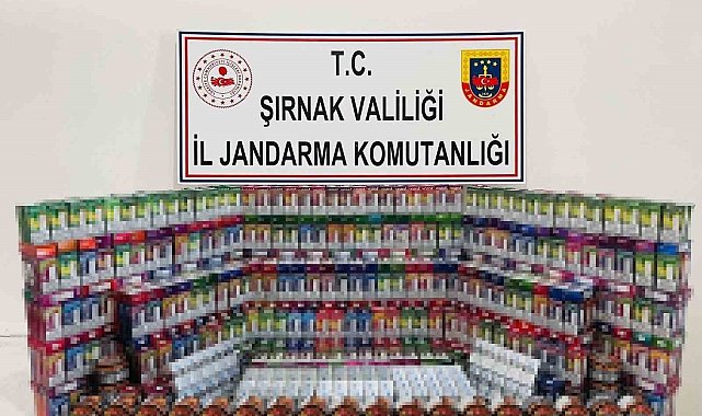 Şırnak'ta jandarma ekiplerinden kaçakçılara şok uygulama