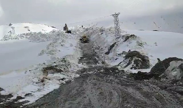 Şırnak'ta mayıs ayında 10 metrelik karda yol açma çalışmaları sürüyor