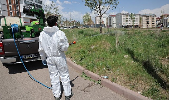 Sivas'ta kene tedbiri, yeşil alanlar ilaçlanıyor