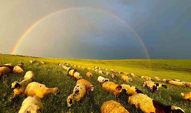Siverek&#039;te yağmur sonrası ortaya çıkan gökkuşağı görsel şölen oluşturdu