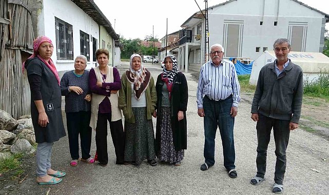 Sokak köpekleri mahalleliyi canından bezdirdi