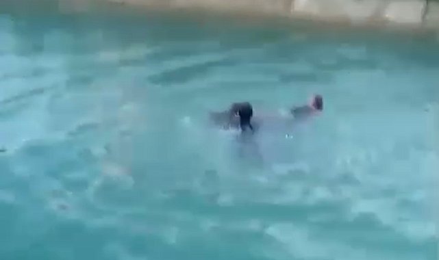 Sulama kanalına düşen kadını vatandaşlar kurtardı