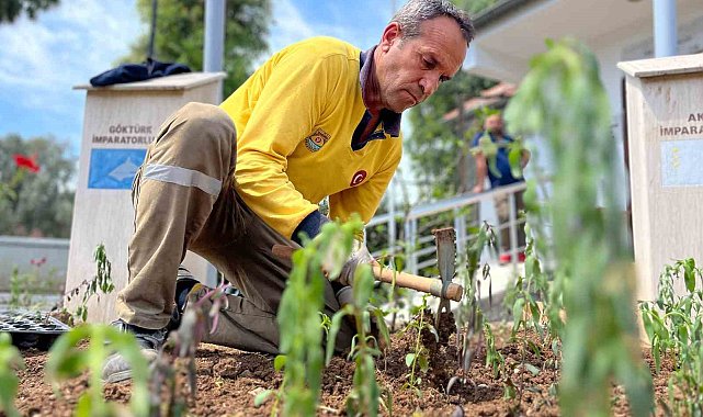 Tarsus'ta parklarda yenileme ve bakım çalışmaları sürüyor