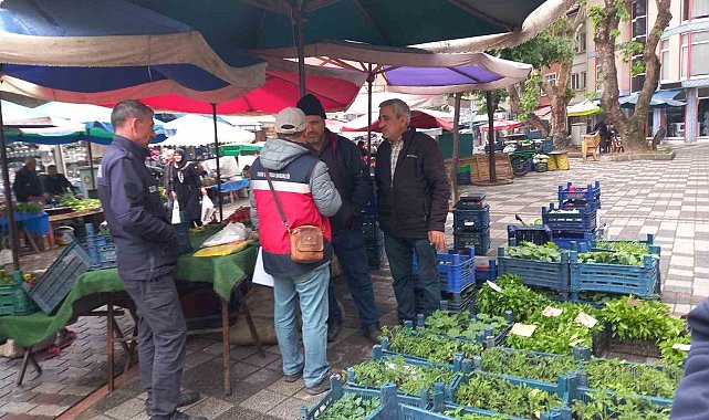 Tavşanlı'da fide satışı yapan kişiler denetlendi