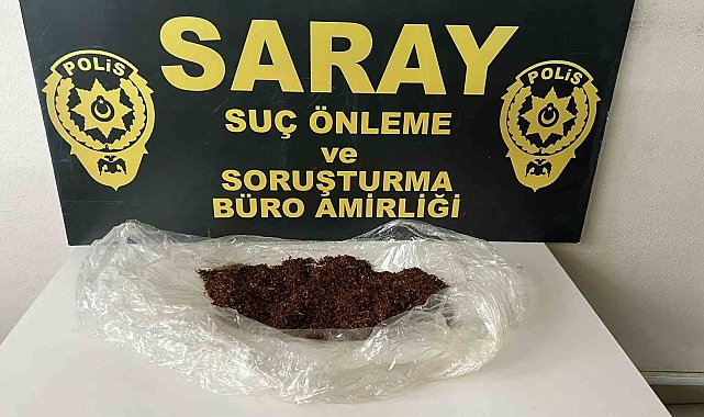 Tekirdağ'da bonzai ele geçirildi