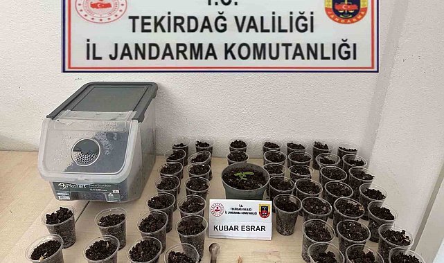 Tekirdağ'da uyuşturucu, silah ve tütün operasyonu