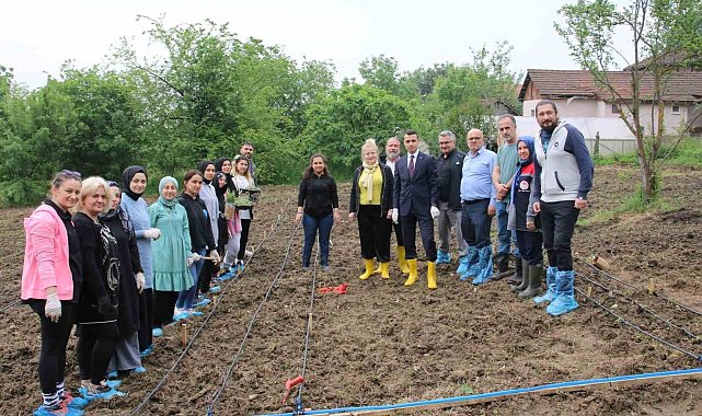 Tıbbi ve aromatik bitkiler toprakla buluştu