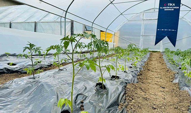 TİKA'dan Bosna Hersek'te kadın çiftçilere sera desteği