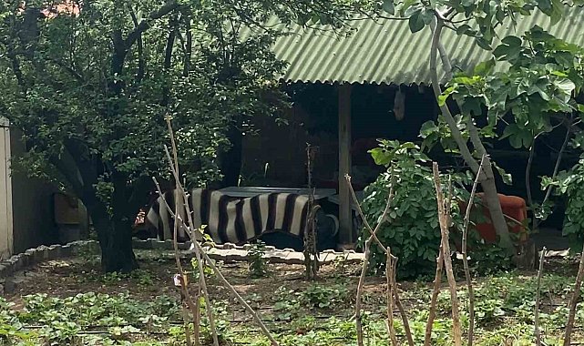 Tokat'ta patlamada yaralananların hayati tehlikeleri bulunmuyor