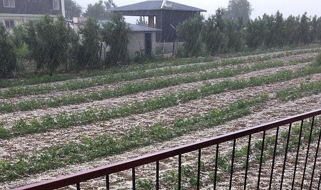 Toroslar ilçesinde dün etkili olan dolu ekili alanlara zarar verdi