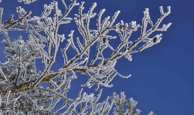 Türkiye'nin en soğuk ili Bolu oldu