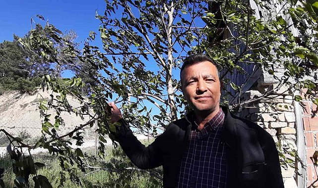 Türkiye'nin en soğuk ili olan Bolu'da ürünler soğuktan yandı