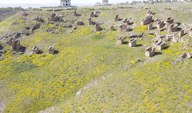 Türkülere konu olan Gesi Bağları koruma altına alınacak