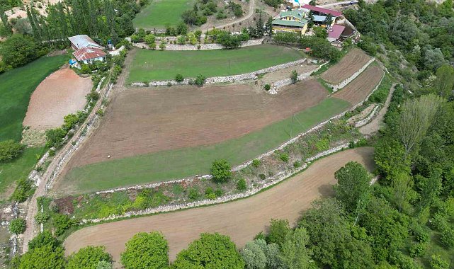 Türkülere konu olan madımağı ticarileştirdi