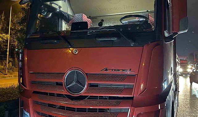 Tuzla'da tır kasasında 8 ton midye ele geçirildi