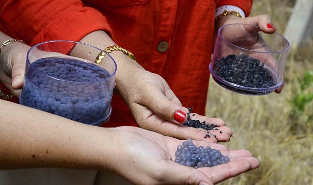 Üzüm bağlarının kuraklığa karşı direncini artıracak malzeme ürettiler