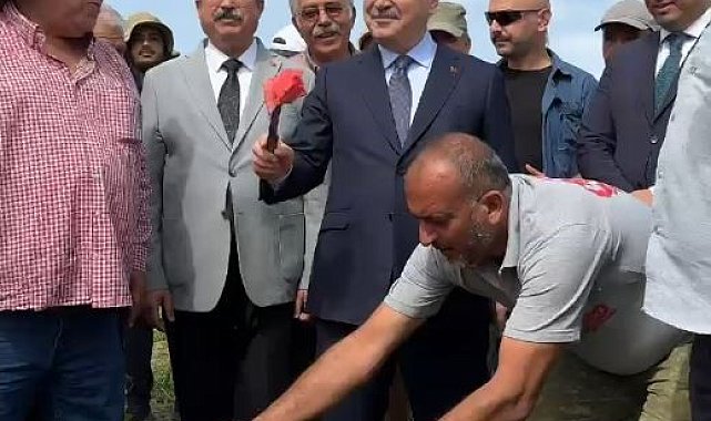 Vali Köşger karpuzu kesip göbeğini yedi, işçilerle birlikte kamyona yükleme yaptı