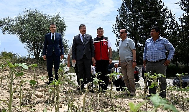 Vali Yılmaz, şiddetli yağmur nedeniyle zarar gören tarım arazilerinde inceleme yaptı