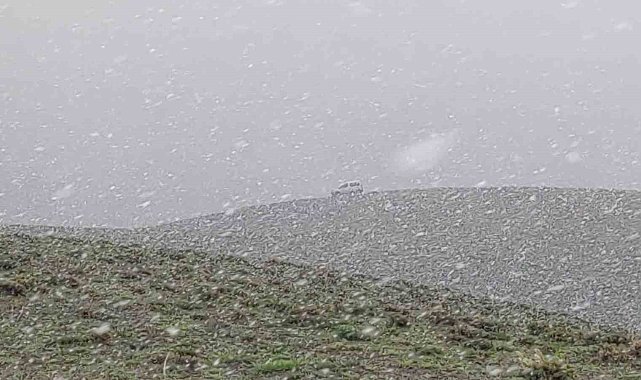 Van&#039;ın yüksek kesimlerinde mayıs ayında lapa lapa kar yağdı