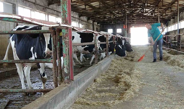 Veteriner adayları üniversitenin çiftliğinde eğitim görüyor