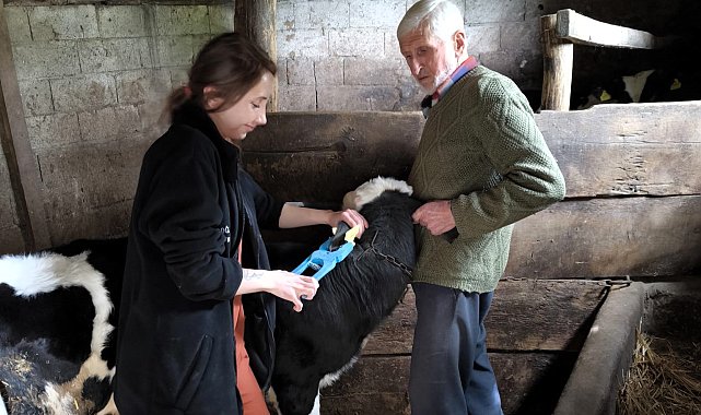 Vize'de küpeleme ve kayıt altına alma çalışması