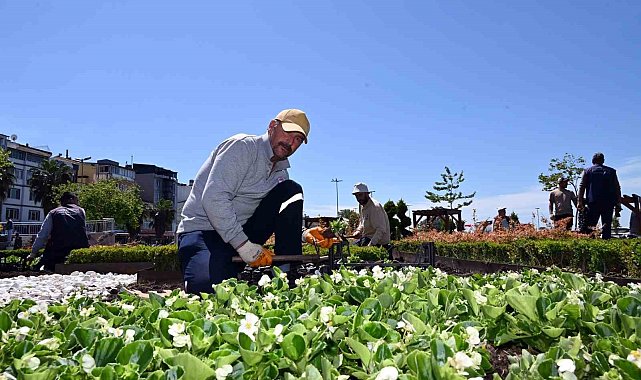 Yalova Belediyesi'nden park ve bahçelerde yaz hazırlığı