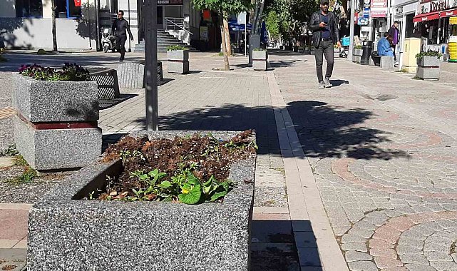 Yalova'da Vandallar iş başında