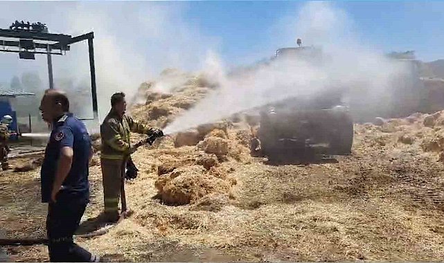 Yangına erken müdahale edildi, çiftçinin emeği kül olmaktan kurtarıldı