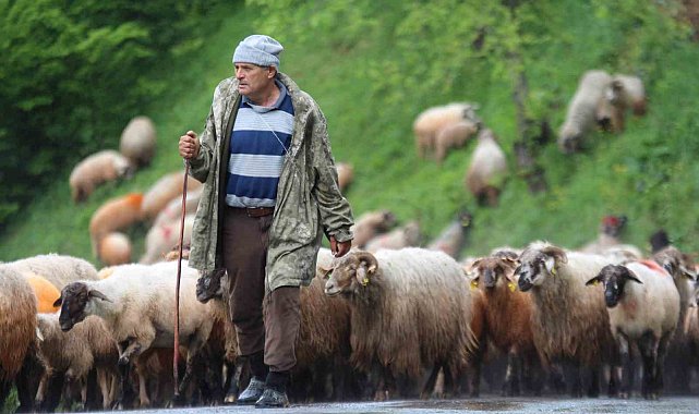 Yaylalara zorlu göç yolculuğu başladı