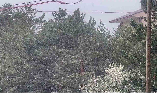 Yaz adeta teğet geçti, o ilçeye kar yağdı