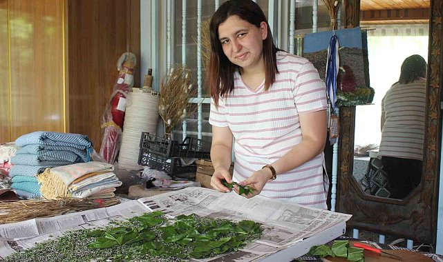 Yılda 45 gün uyanık kalan ipek böcekleri, dut yapraklarıyla özenle besleniyorlar