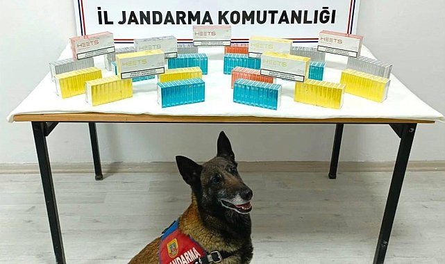 Yolcu otobüsünde faturasız elektronik sigara kartuşu ele geçirildi