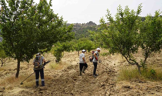 Yunusemre'nin organik meyve bahçesinde çalışmalar sürüyor