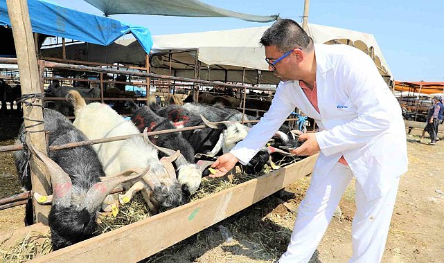 Yüreğir'de kurban satış ve kesim yerleri belirlendi